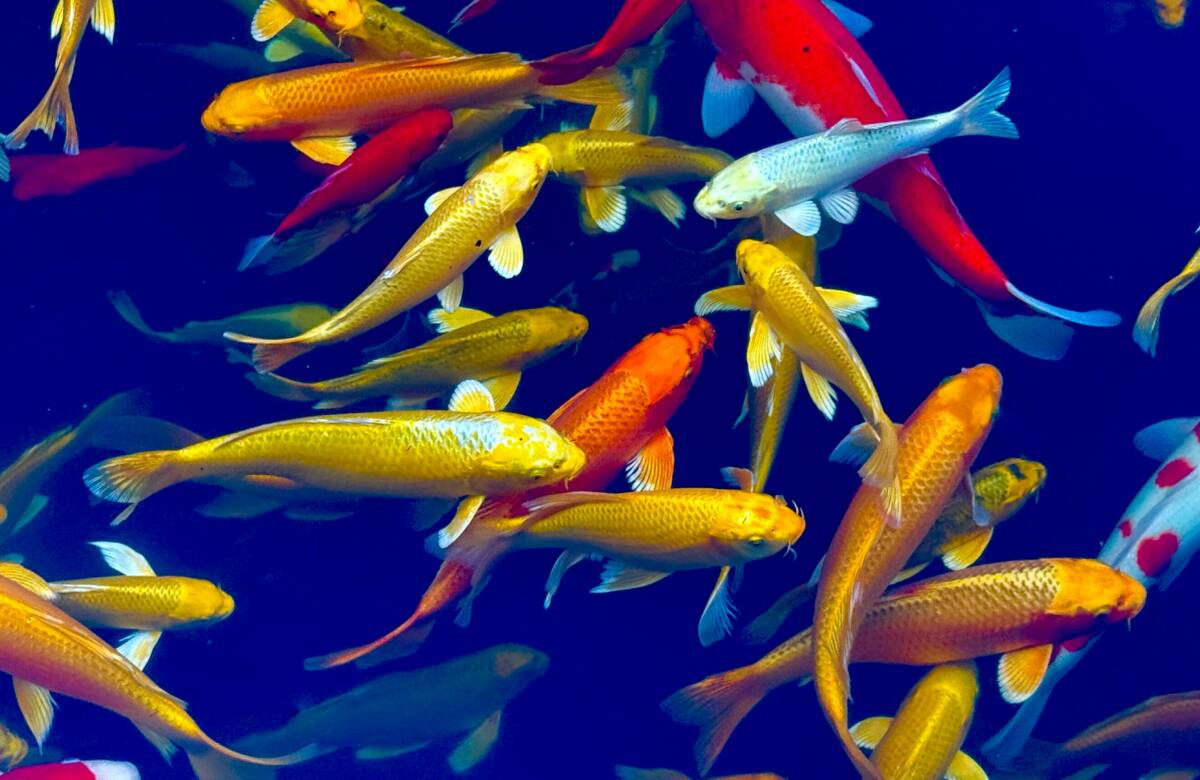 Competing in the Digital Marketing Arena: Standing Out in a World of Noise