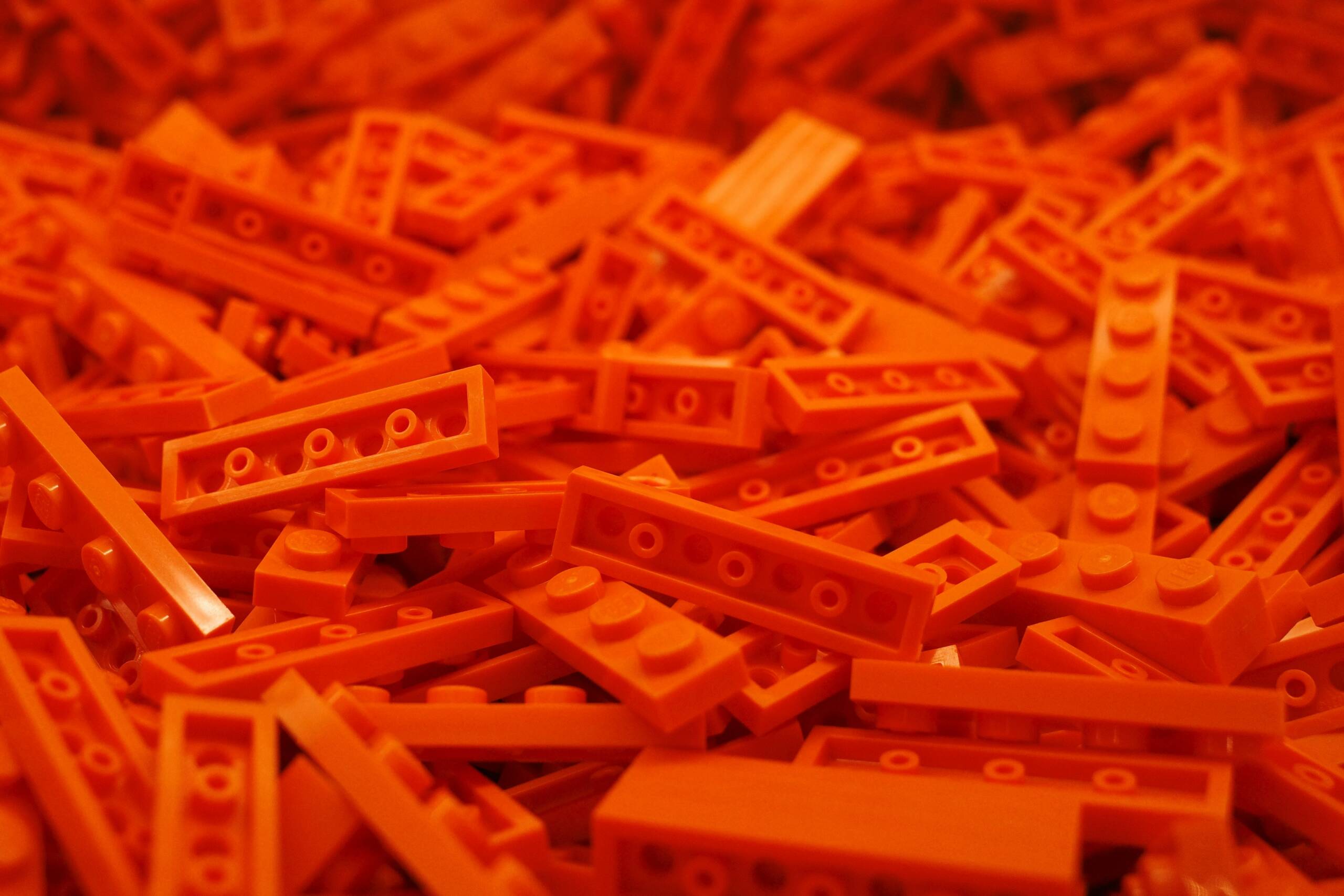 charles-snow-6npyZ5CmluM-unsplash (1)