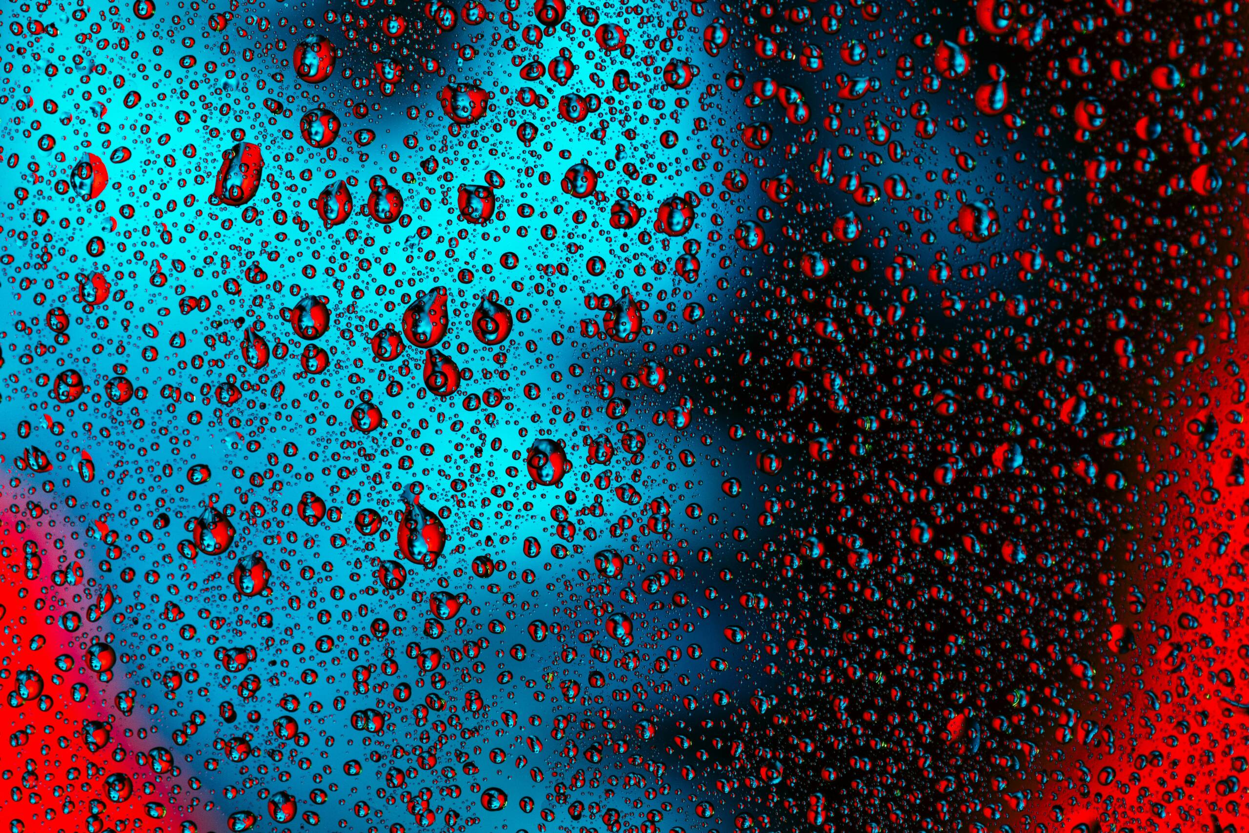 nick-fancher-PHoClaH7O-I-unsplash (1)