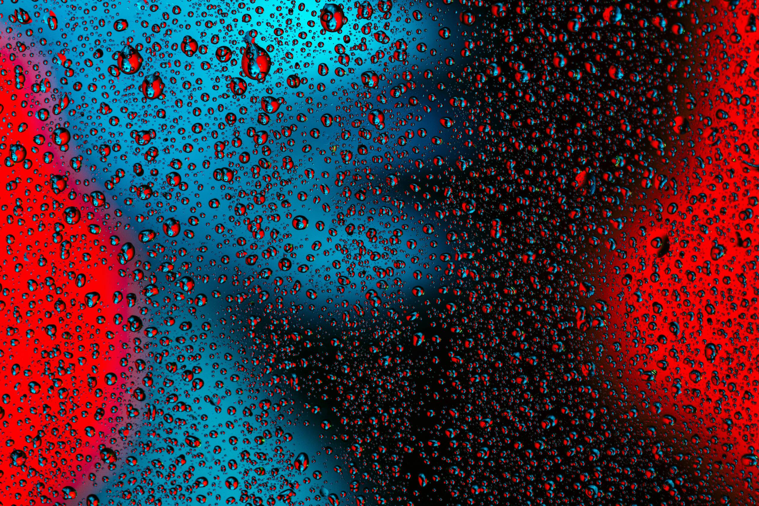 nick-fancher-PHoClaH7O-I-unsplash